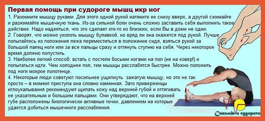 Почему мышцы икроножные сводит судорогой Почему мышцы икроножные сводит судорогой