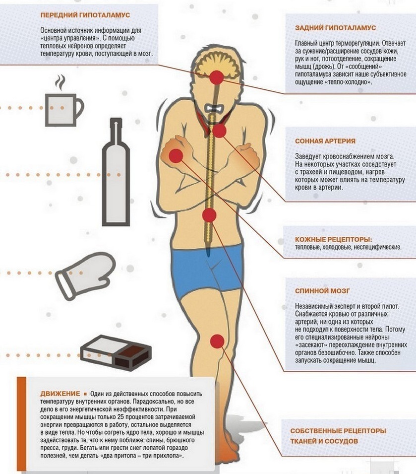 Что делать если трясет. Охлаждение организма. Воздействие холода на организм. Процессы переохлаждения человека. Переохлаждение болезни.