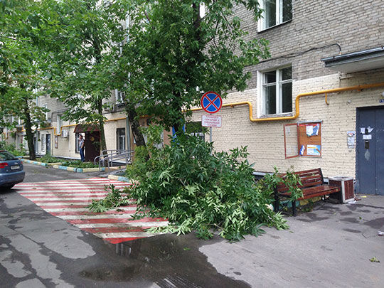 последствия-урагана-в-москве-13-июля-2016-года